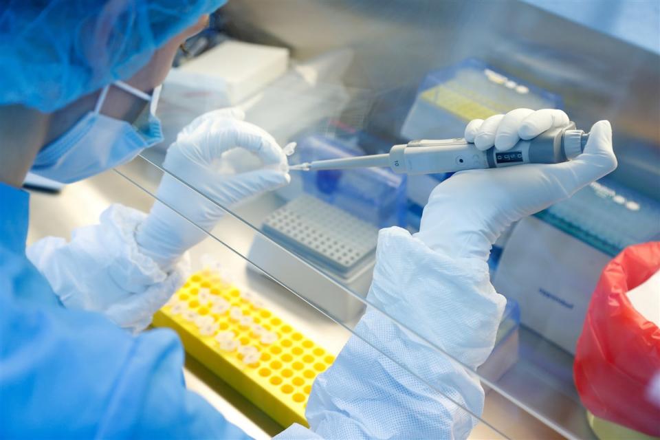 A scientist prepares samples during the research and development of a vaccine against the coronavirus disease at a laboratory in Saint Petersburg, Russia. (Anton Vaganov / Reuters)