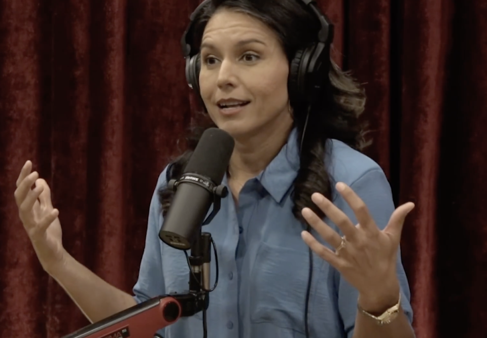 Tulsi Gabbard says Fox News was much nicer to her than CNN and MSNBC (The Joe Rogan Experience)