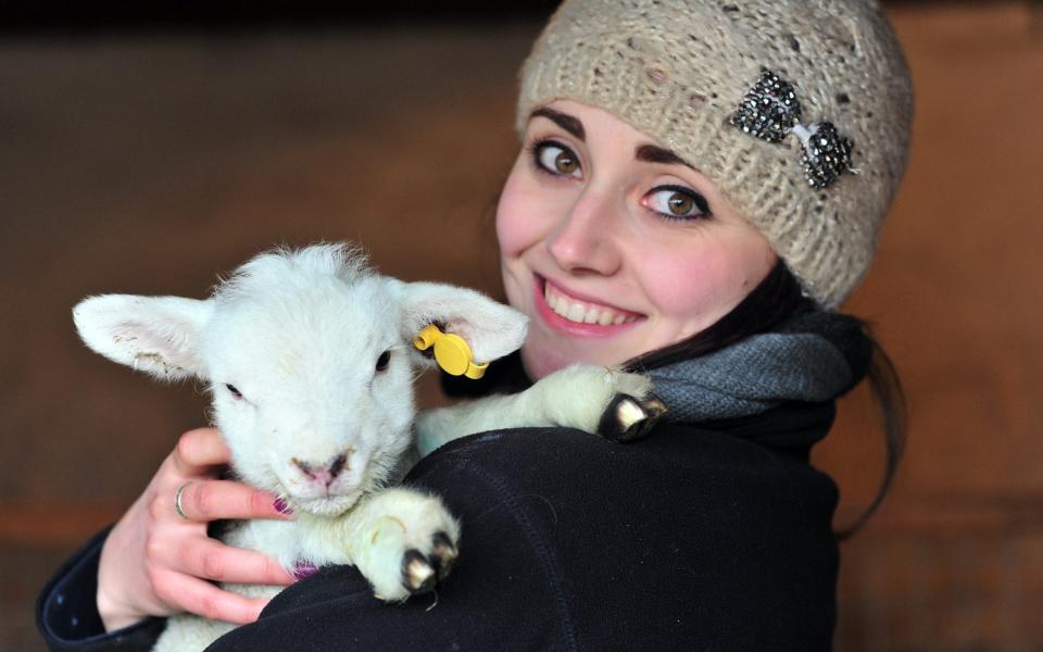 Kent Life Heritage Farm Park is home to some 200 farmyard animals, indoor and outdoor play areas, gardens and orchards - Kent Life Heritage Farm Park