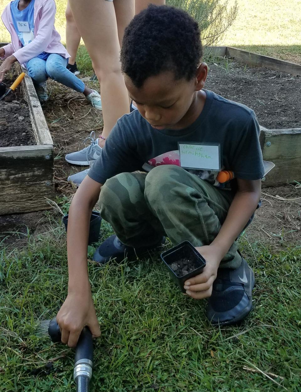 Students pay close attention to planting seeds.