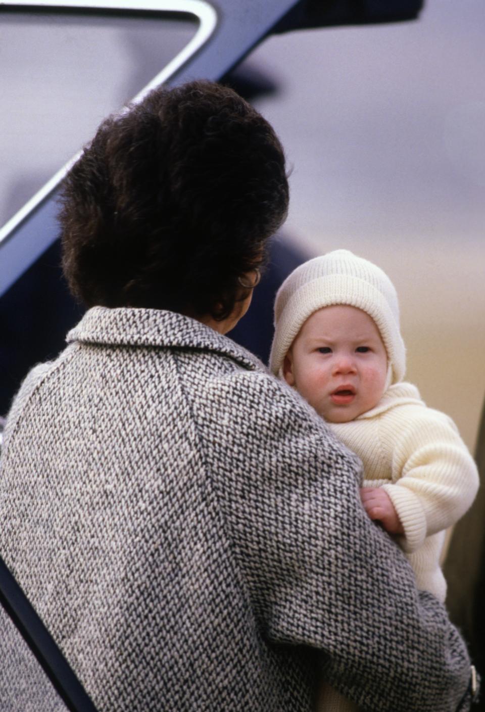 <h1 class="title">British Royalty</h1><cite class="credit">David Levenson/Getty Images</cite>