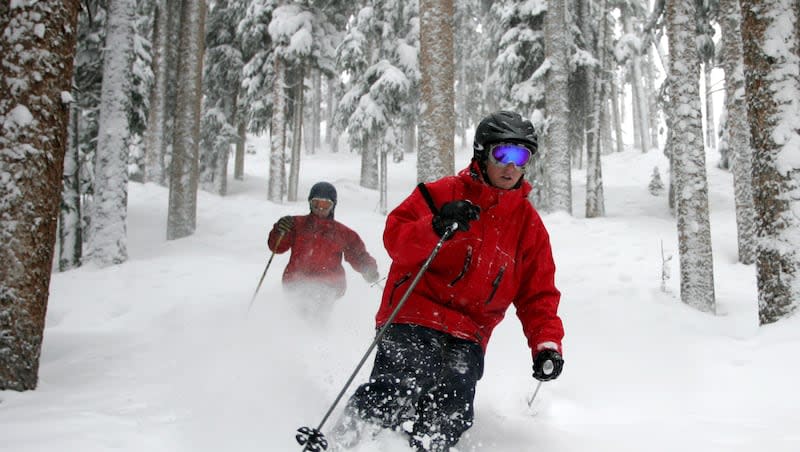 Skiers Ryan Brennan and Pete Dunn, of Telluride, Colo., ski between the trees in the deep powder snow at the Telluride Ski Resort on March 10, 2006.