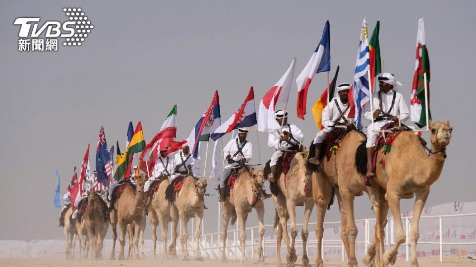 為搭上卡達世足，2022年駱駝選美比賽特別移到11月舉行。（圖／達志影像美聯社）
