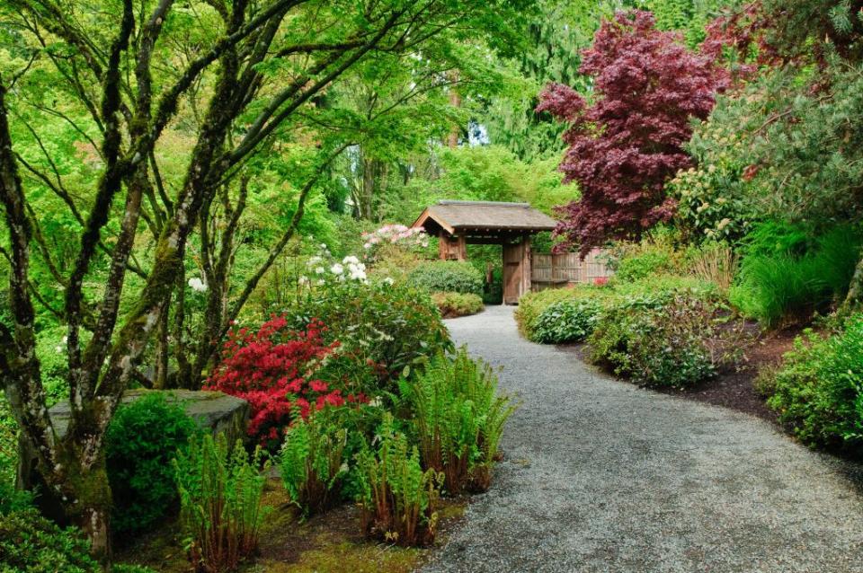 yao japanese garden at bellevue botanical gardens bellevue