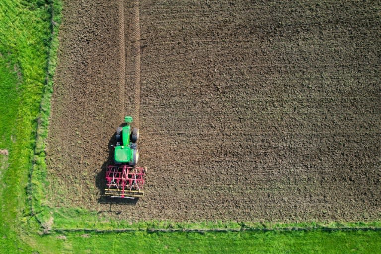 Der Agrarausschuss der Bundesländer will nach Angaben des Bundeslandwirtschaftsministeriums die vorgesehenen neuen Regeln für den Umgang mit dem Unkrautvernichter Glyphosat aufweichen. (Kenzo TRIBOUILLARD)