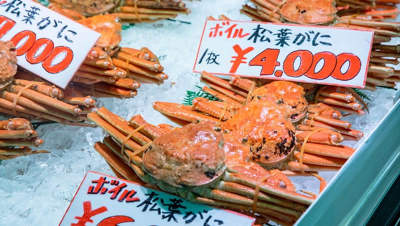 日本鳥取｜海陽亭 境港店