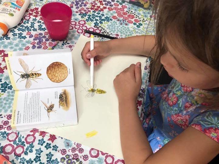 "Here's my little girl. Five years old and obsessed with bugs of all kinds. She especially likes spiders and will care for the spiders she finds at home."