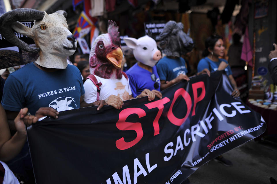 Nepalese youth activists wearing masks of various animals as take part in the rally to stop animal sacrifice in the name of God &amp; Goddess during the Gadhimai Festival in Bara district in Kathmandu, Nepal on Friday, June 14, 2019. Stop Animal Sacrifice campaign is seeking a ban on all forms of animal sacrifice in public and private spaces throughout Nepal. (Photo by Narayan Maharjan/NurPhoto via Getty Images)