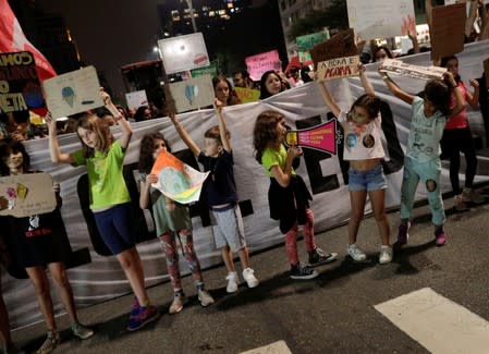 Global Climate Strike in Sao Paulo 