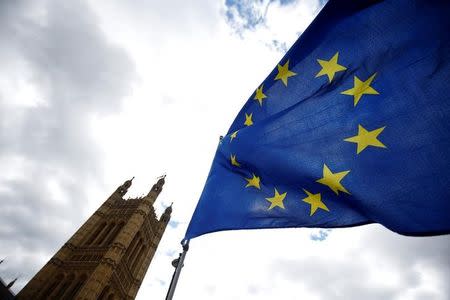 Anti-Brexit demonstrators wave EU flags opposite the Houses of Parliament, in London, Britain, June 19, 2018. REUTERS/Henry Nicholls