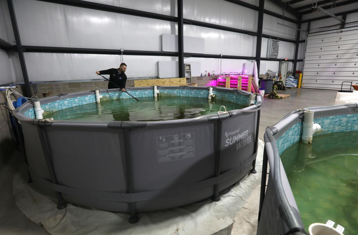 Garrett Young tries to scoop up one of the fish being grown in Zanesville City School's AgriPark building. The district has been increasing its project-based learning, including a sustainable agriculture program.