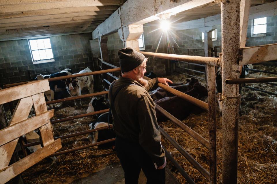 Lavern Schlabach talks about hybrid cows during a tour of his D&S Dairy Farm on Tuesday in Sugar Creek Township. The tour featured ProCROSS hybrid cows and a program geared toward dairy producers and employees.
