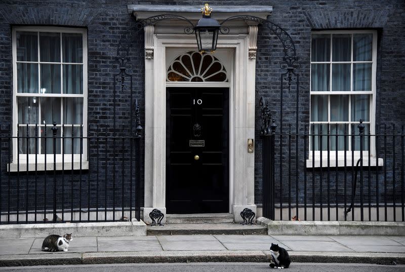 FILE PHOTO: Larry the Downing Street cat and Palmerston the Foreign Office cat square off outside British Prime Minister's official residence 10 Downing Street, London