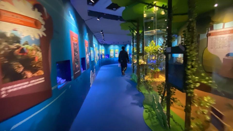 「海洋嘉年華II─生存之道」特展正在國立海洋科技博物館展出，將展至明年二月二十八日。（國立海洋科技博物館提供）