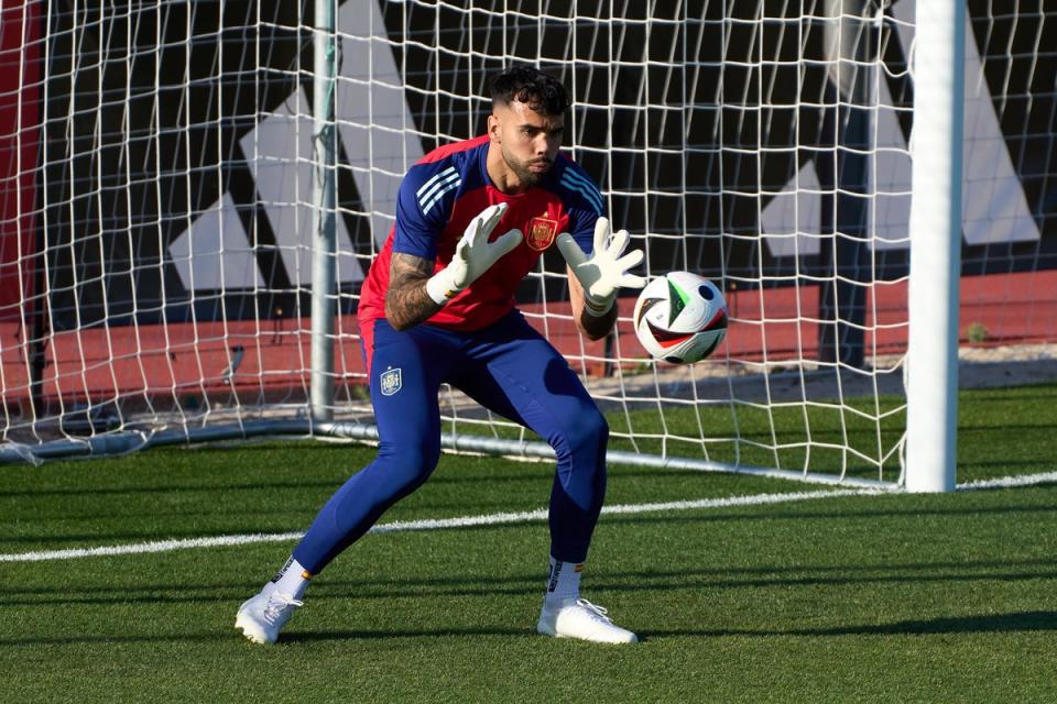 Safe hands: Arsenal’s David Raya starts for Spain against Albania in Dusseldorf (Getty Images)