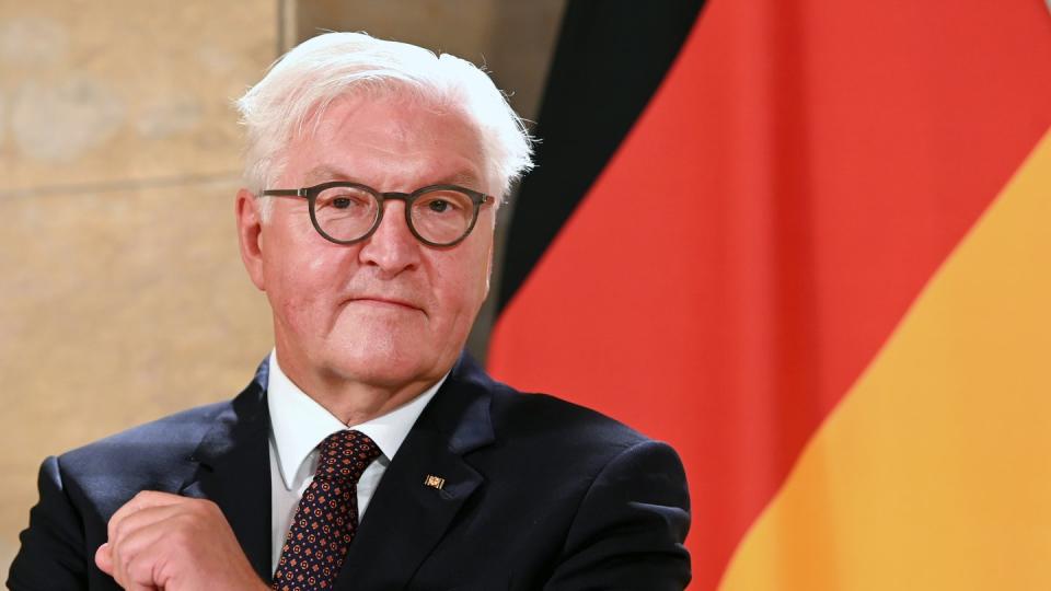 Bundespräsident Frank-Walter Steinmeier: «Es gibt Licht am Ende des Tunnels - allerdings wissen wir nicht, wie lang die Wegstrecke dahin noch ist.»