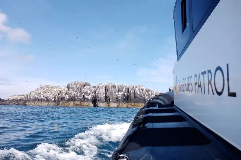 A Northumberland Inshore Fisheries and Conservation Authority (NIFCA) patrol boat near the Farne Islands