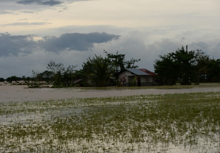 Typhoon Koppu brought floods as high as three metres (10 feet) to one of the Philippines' most important rice growing regions
