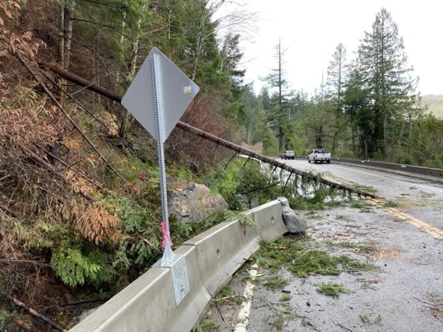 Two large rocks felled trees and caused Highway 4 to close on Vancouver Island for much of Boxing Day. (B.C. Ministry of Transportation - image credit)