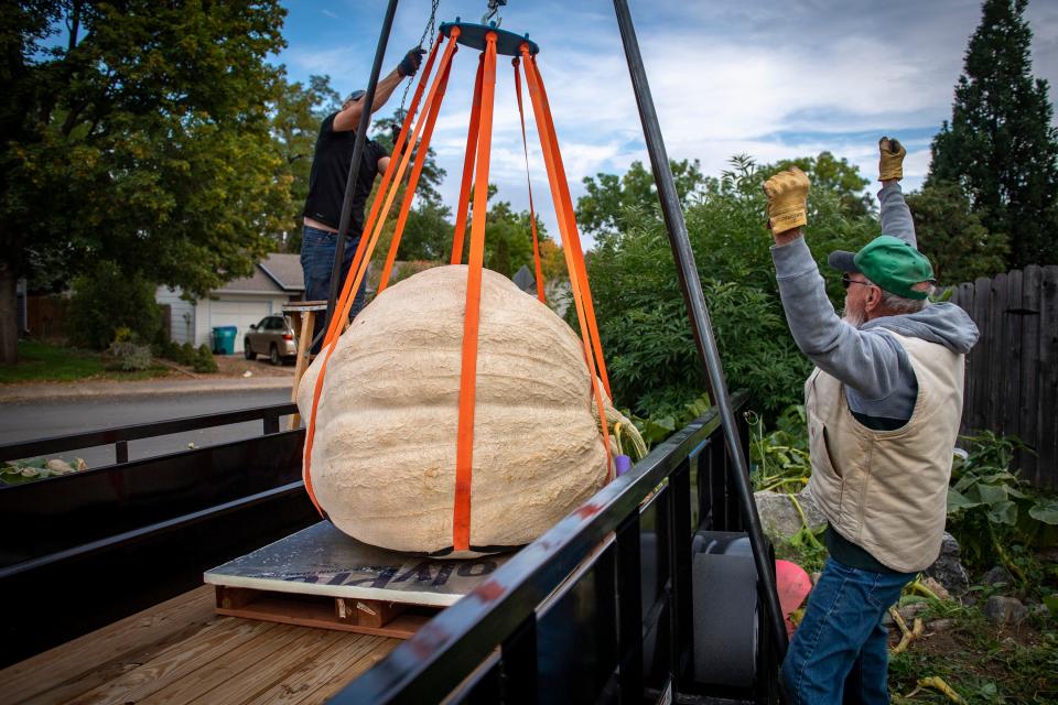 Brad Bledsoe, left, and Randy Moorman celebrate after successfully loading Bledsoe's pumpkin onto a trailer at Bledsoe's home in Fort Collins, Colo., on Friday, Oct. 7, 2022.