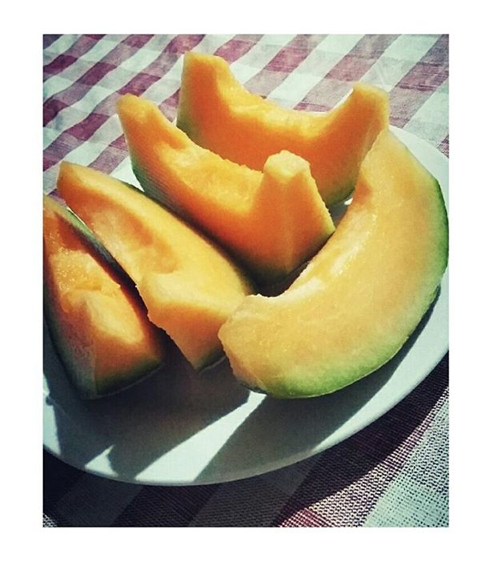 tranches de melon