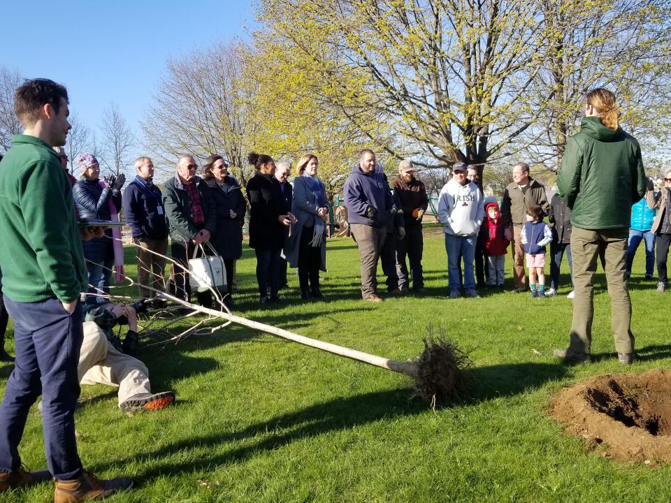 The traditional Arbor Day in Portsmouth ceremonial tree-planting took place in 2022 on Four Tree Island.