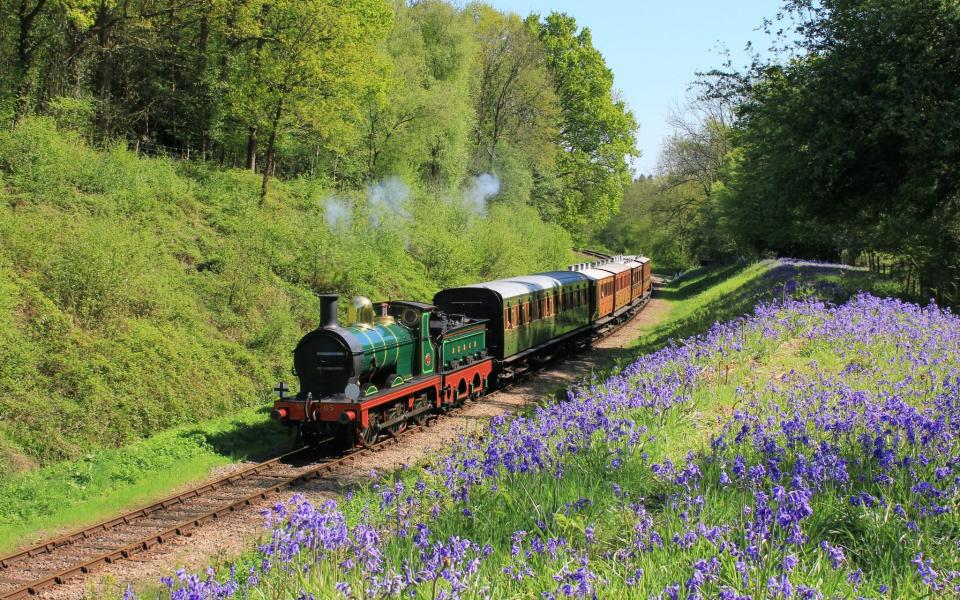 Bluebell Railway - Bluebell Railway