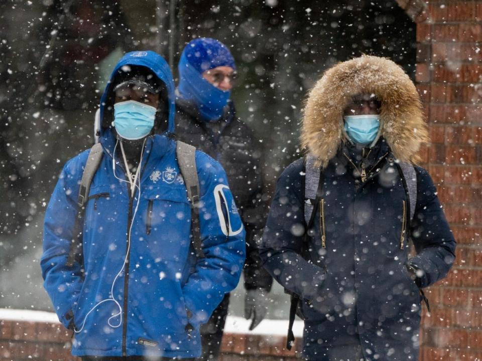 Pedestrians on a snowy Bank Street in Ottawa in February 2021. (Andrew Lee/CBC - image credit)