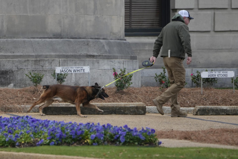 An ordinance sniffing dog patrols the Mississippi State Capitol grounds as Capitol Police respond to a bomb threat at the state building in Jackson, Miss., Wednesday morning, Jan. 3, 2024. The structure was emptied and the grounds cleared of vehicles as officers investigated. (AP Photo/Rogelio V. Solis)