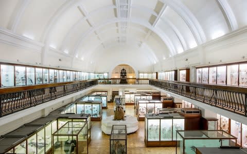 Horniman Museum