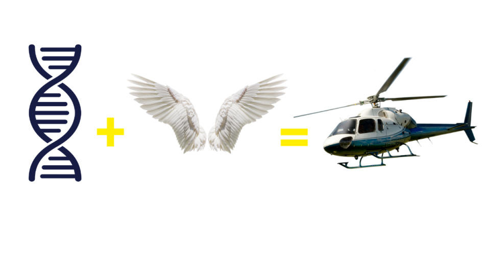 DNA helix plus angel wings equals a helicopter, suggesting the combination of biology and aerodynamics