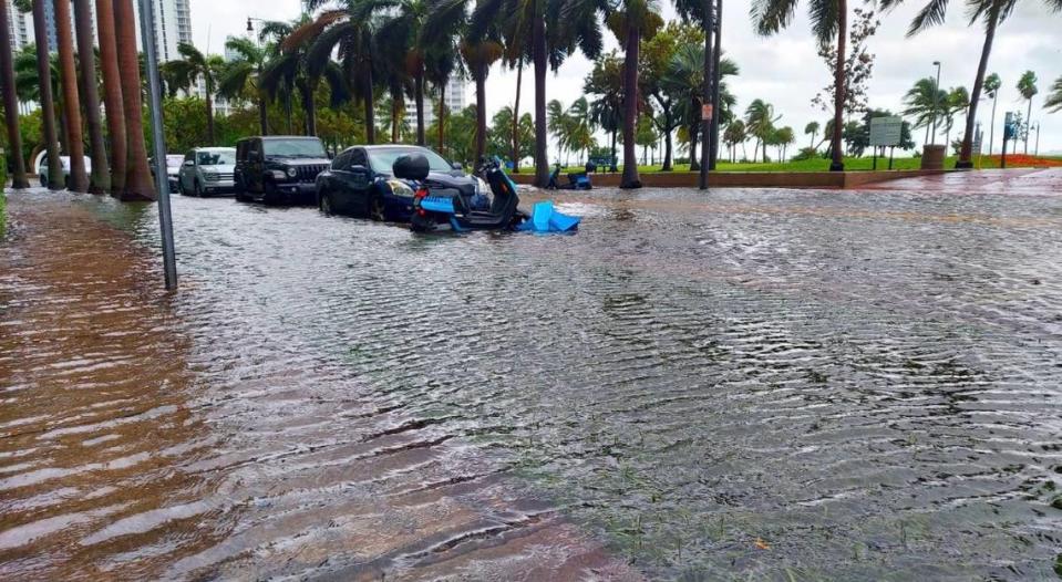 Bayshore Drive, north of 15th Street, Monday morning, after Tropical Storm Eta.