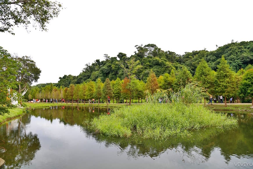 桃園大溪｜月眉人工濕地生態公園