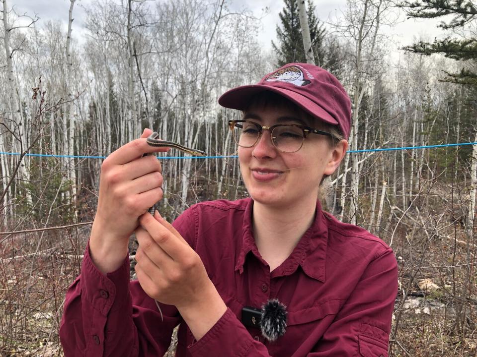 Johanna Stewart is a researcher studying the red-sided garter snake population in Fort Smith. She hopes her work will inform government decisions in how to protect the snake and how to manage land impacted by wildfires.