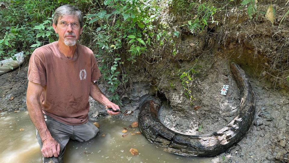 PHOTO: Eddie Templeton holds a fossilized mammoth tusk he found in Madison County, Mississippi. (James E. Starnes/Mississippi Department of Environmental Quality)