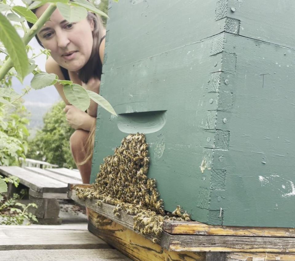 Susie Kathol keeps honeybees on the roof of her carport, which wouldn't be allowed under the new rules.