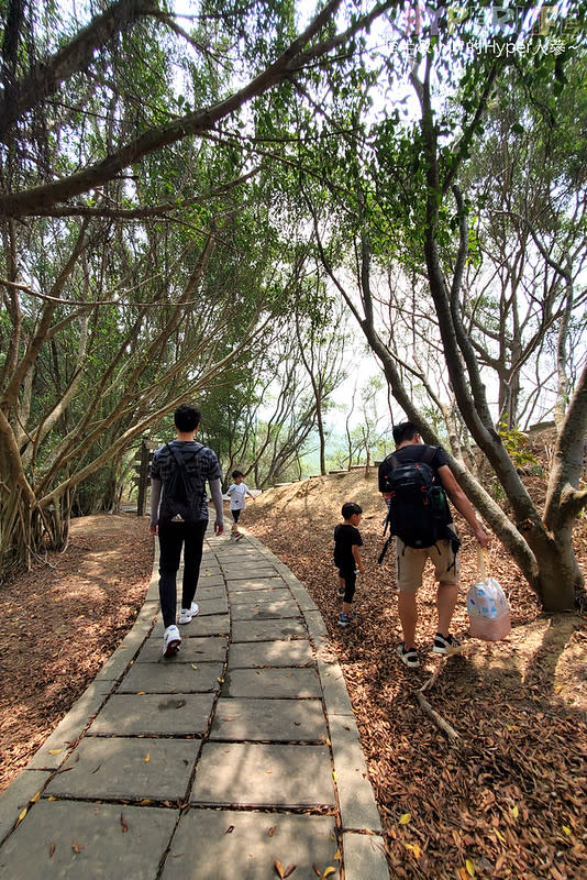 台中｜大肚山萬里長城登山步道