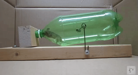 Someone Invented a DIY Mouse Trap That Solves the Animal Cruelty Problem