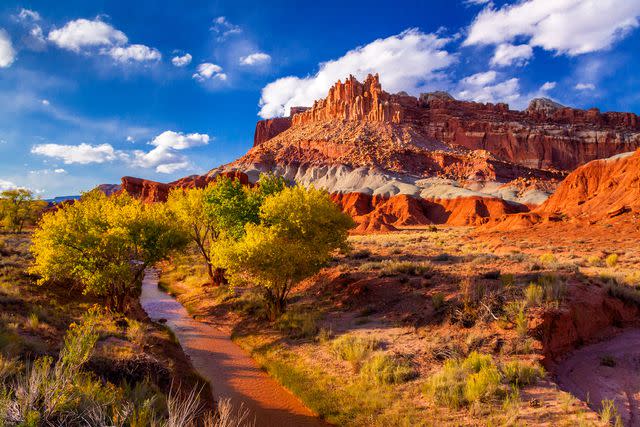 <p>David H. Carriere/Getty Images</p> The Castle summit in Utah’s Capitol Reef National Park.