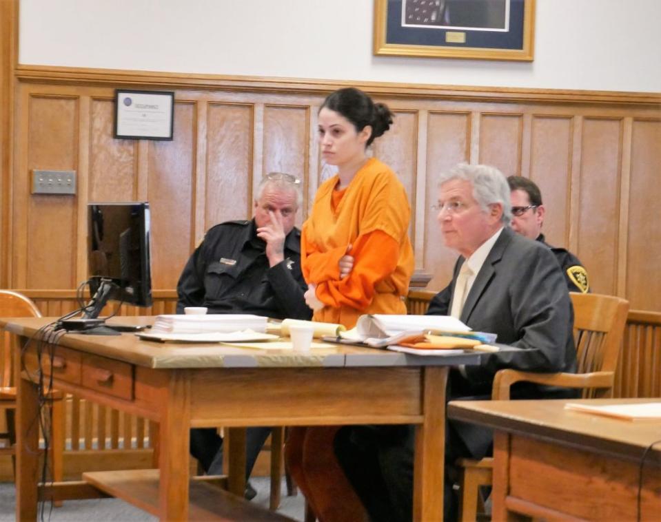 Addimando during a pretrial hearing for her murder case in 2018. Nina Schutzman/Poughkeepsie Journal