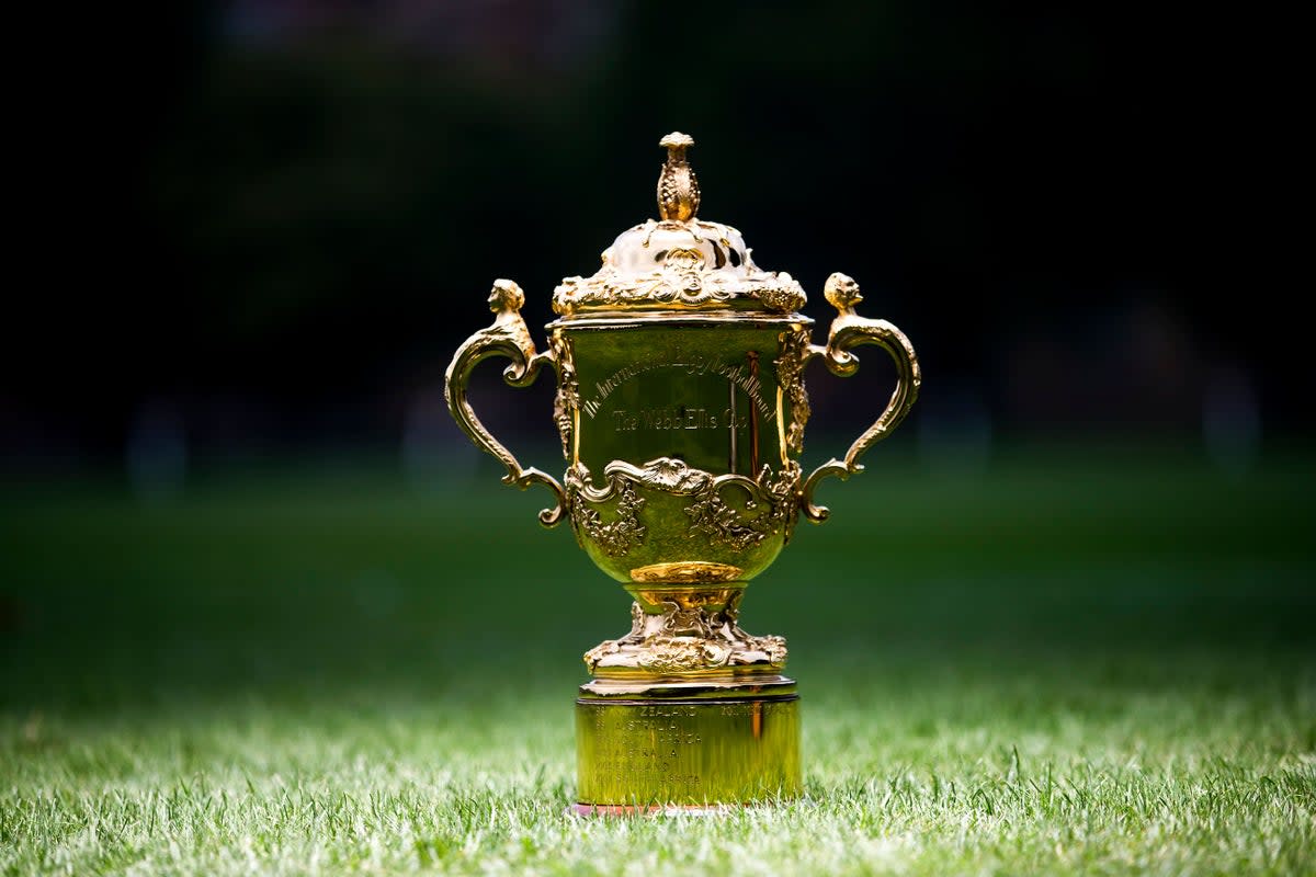 Detail of the Webb Ellis Cup during a photocall at the Rugby School, Warwickshire. (PA Archive)