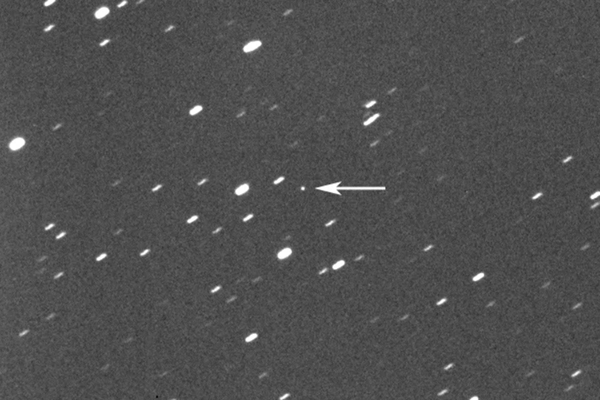 Asteroid Flyby (Gianluca Masi)