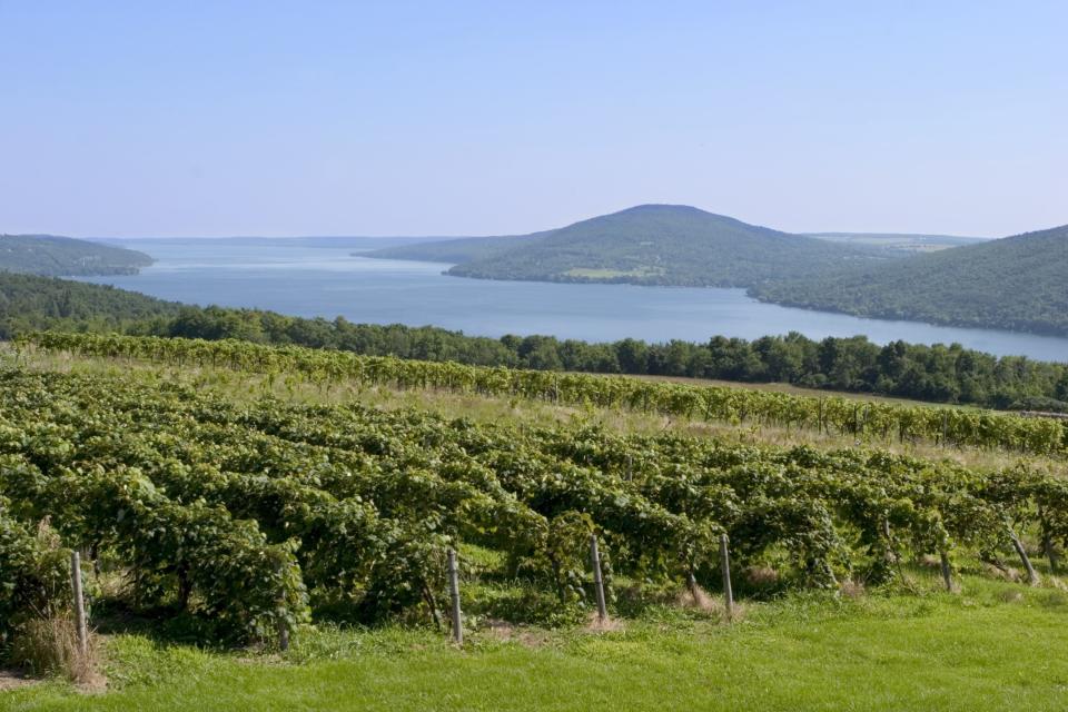 Finger Lakes, NY