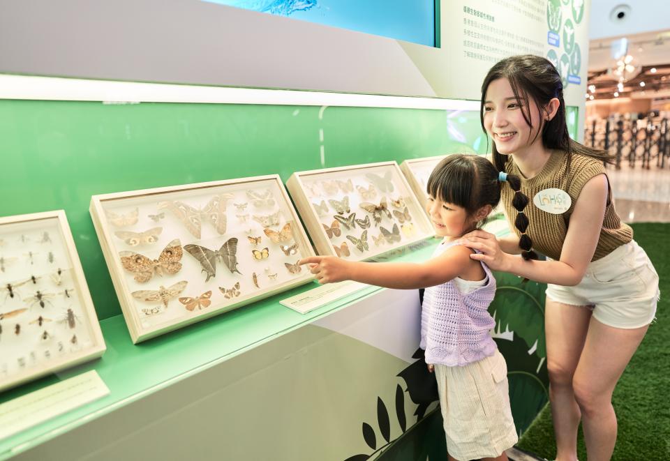 展示出逾百款由香港生物多樣性博物館精選的昆蟲標本。