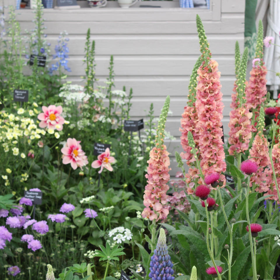 Chelsea Flower Show 2023 cottage garden ideas