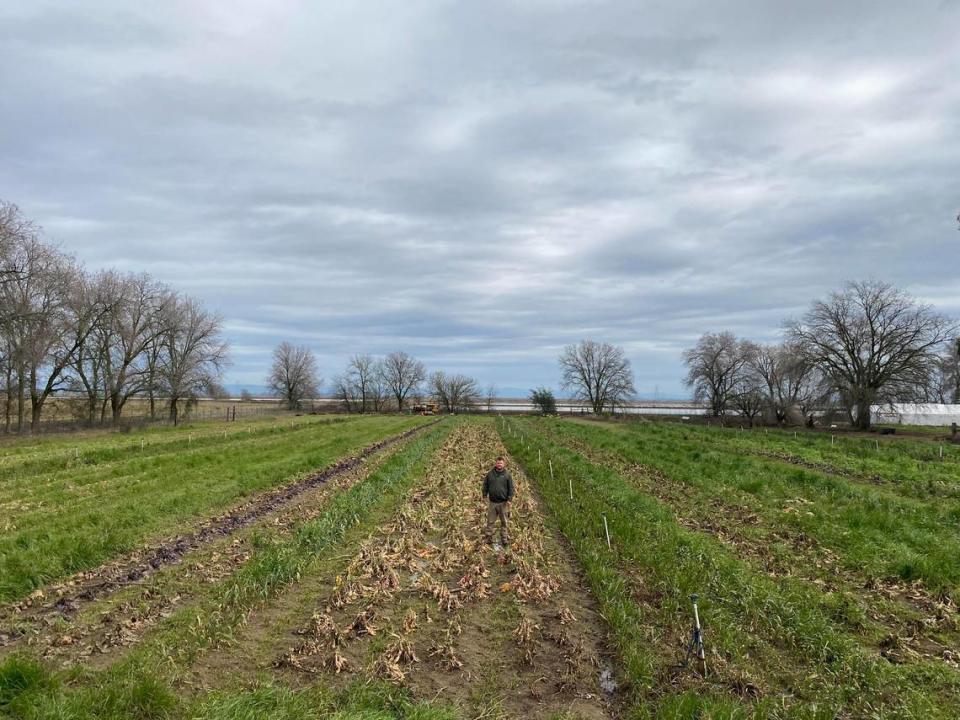 Azolla Farms in Pleasant Grove after a Northern California winter storm flooded the farm.