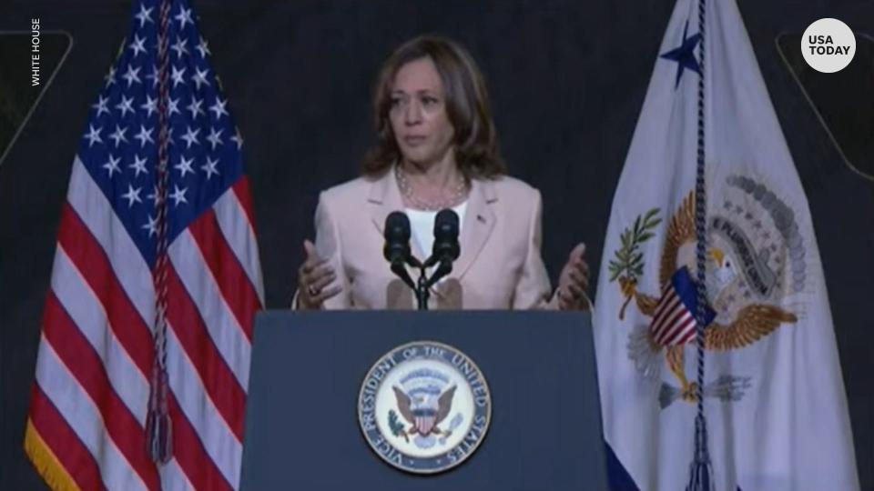 Kamala Harris addresses the 113th National NAACP Convention.