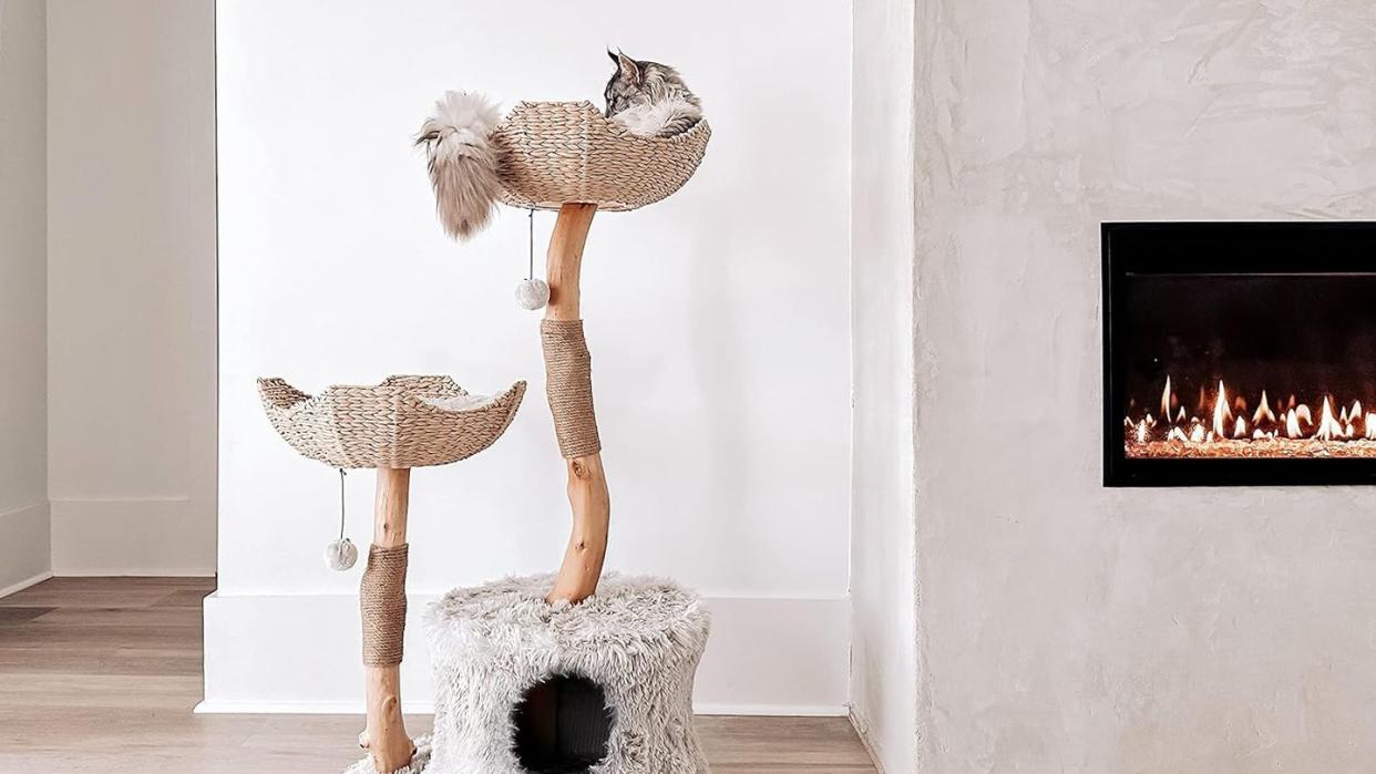 a cat sitting on a cat tree