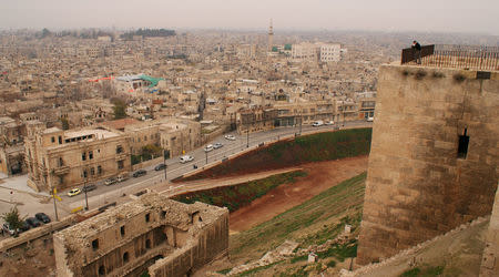 A man stands inside Aleppo's historic citadel, overlooking Aleppo city, Syria December 11, 2009. REUTERS/Khalil Ashawi TPX IMAGES OF THE DAY