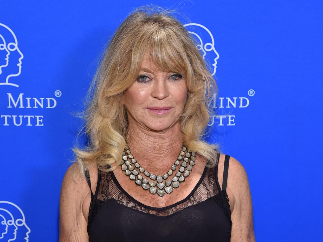 Goldie Hawn at the Child Mind Institute’s 2019 Change Maker Awards on 1 May 2019 at Carnegie Hall in New York City (Jamie McCarthy/Getty Images for Child Mind Institute)
